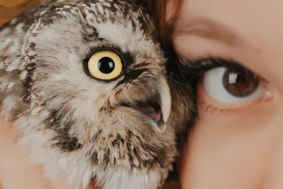 Casino Royal Winner Podrška